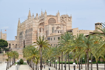 Fototapeta na wymiar Die Kathedrale von Mallorca