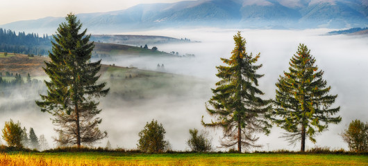 Obraz premium autumn morning