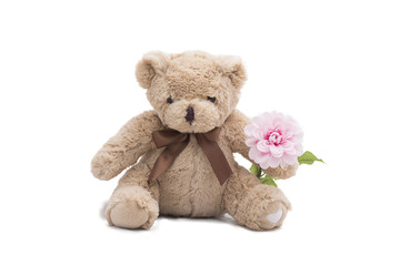 Teddy bear with pink flowers,Isolated on white