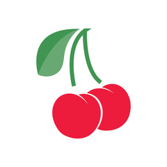 Cherry with branch and leaf. Vector illustration. EPS10