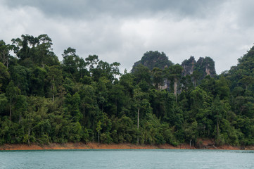 Fototapeta na wymiar Lush jungle inside Khao Sok National Park