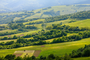 Scenic landscape of the countryside near alpine mountains. View of green hills covered by trees. Summer natural background. Sunlight shines through the trees.