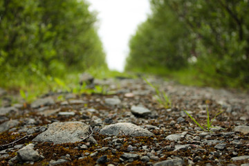 Road