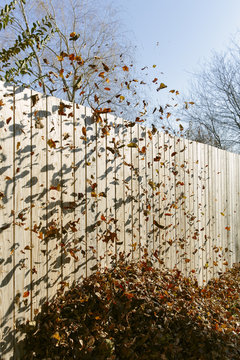 Leaf Blowin'