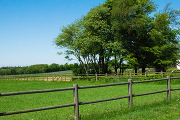 Beautiful green nature in Europe from the road