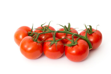 fresh red tomatoes on white background