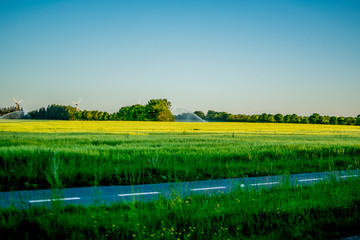 Naklejka premium Beautiful green nature in Europe from the road