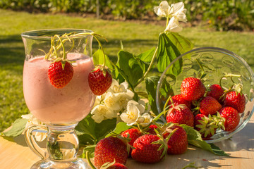 Sweet strawberry milkshake in the garden with strawberry on wood table and jasmine flower