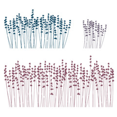  Vector floral background with hand drawn lavender flowers rows.