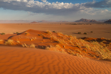 View from the top of the Elim dune