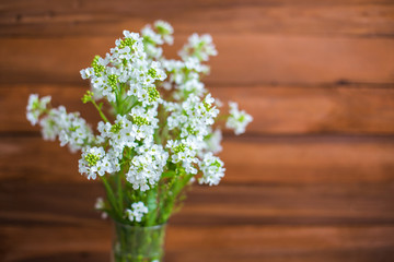 White flowers in vase on wooden background