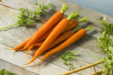 Raw Organic Fresh Orange Carrots