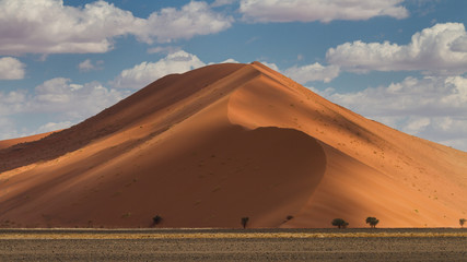 Fototapeta na wymiar Dune 45 at the Sossusvlei National Park