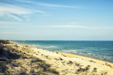 Fototapeta na wymiar dunes in guardamar beach,alicante,Spain