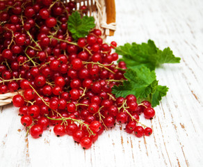 fresh red currant