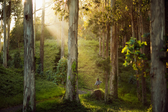 Beautiful young woman standing alone in a Eucalyptus forest