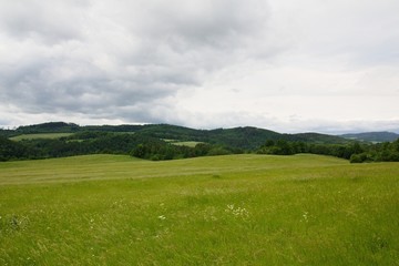 Summer landscape view.