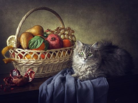 Fruit Still Life With Kitten