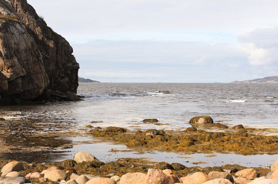  Coast Of The Barents Sea  