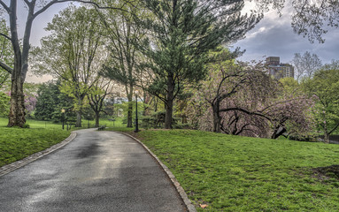 Central Park, New York City spring