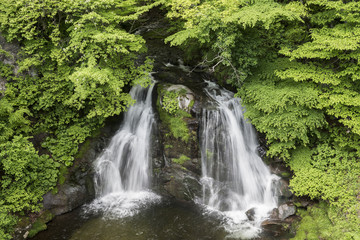 Fototapeta na wymiar 新緑の明神滝