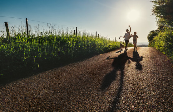 Mother, son and dog walk on country sunset road and make funny cartoon shadows