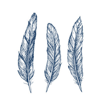 Feather Pattern