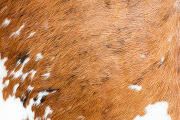 Peau de vache