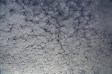 Gray and white clouds