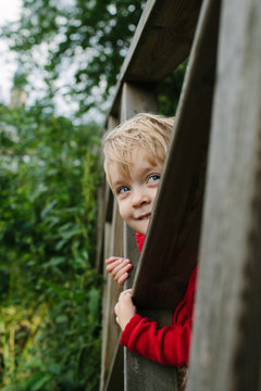 Cute, Cheeky, Happy Smiling Child Pokes Her Head Through A Wooden Bridge