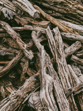 Wood in factory
