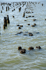 Hudson River & New-Jersey Shore