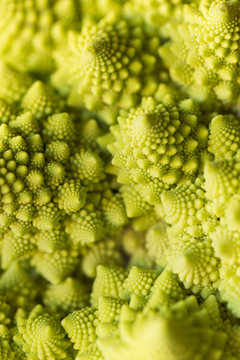 Symmetrical detail of a romanesque cabbage
