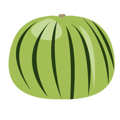 Isolated watermelon on a white background, Vector illustration
