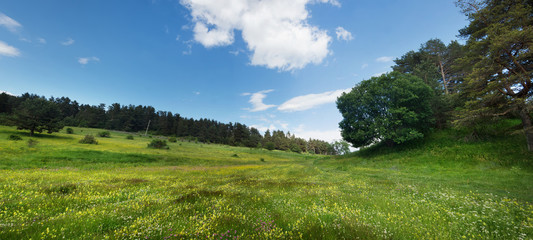 View from Rhodope Mountain