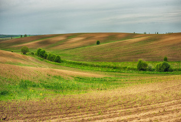 Hilly field