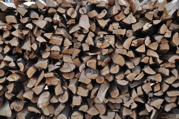 The Master Woodsman Cuts Wood 