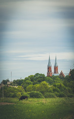 Fototapeta premium Beautiful Catholic church. View from the field side