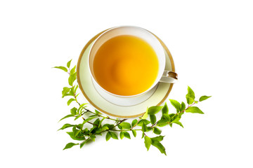 Cup of green tea decorated with branches with green leaves isolated on white background. 