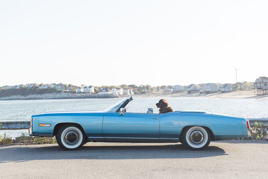 Chillin' in a Caddy
