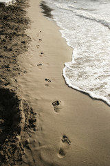 summer vacation walk on beach