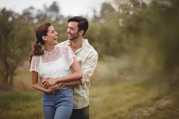 Cheerful couple standing on field at olive farm