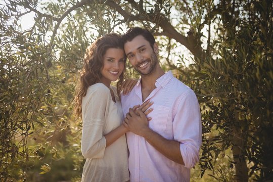 Portrait of smiling couple embracing at olive farm