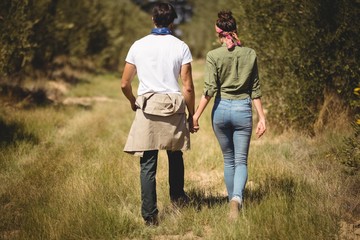 Rear view of couple walking at olive farm