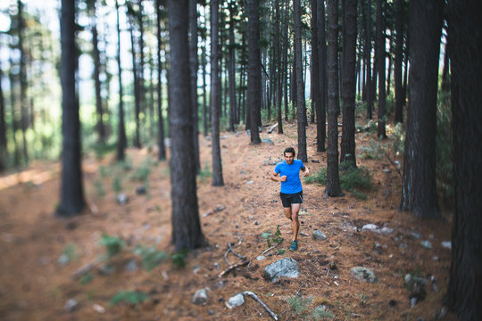 Fit Active Man Running A Trail Through A Forest