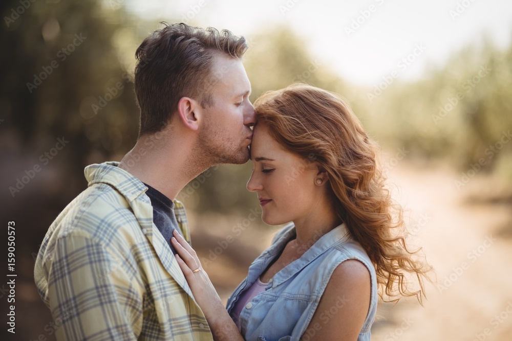 Wall mural Young man kissing woman at olive farm 