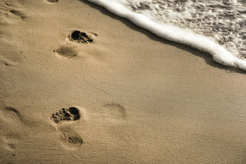 summer vacation walk on beach