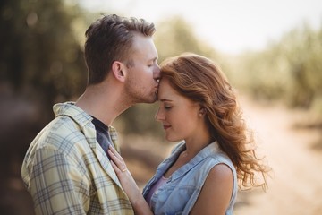 Young man kissing woman at olive farm 