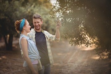 Young couple standing by olive tree at farm