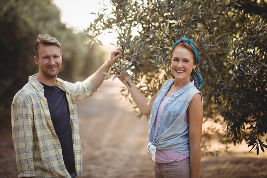 Portrait of couple holding olive tree while standing at farm